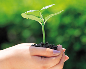 Social-Responsibility