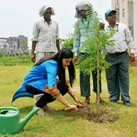 Environment Day At RMC  HAPUR