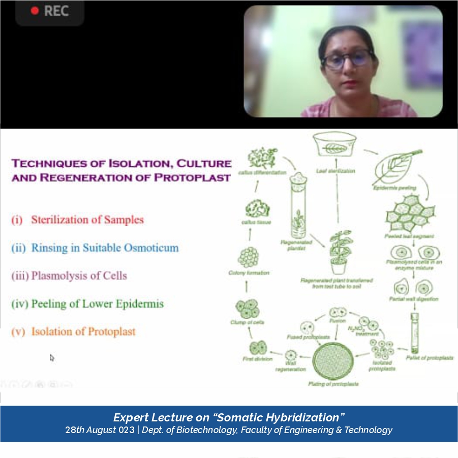 plant_tissue_culture_advancements_2023