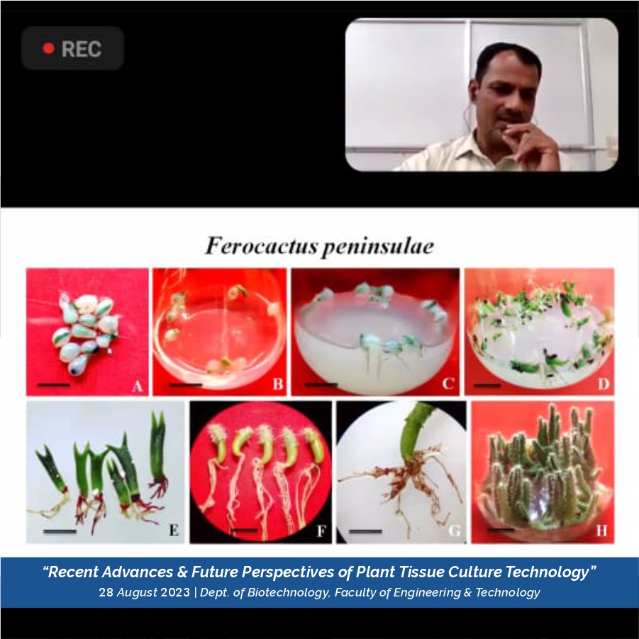 unlocking_the_future_of_plant_tissue_culture_technology_2023