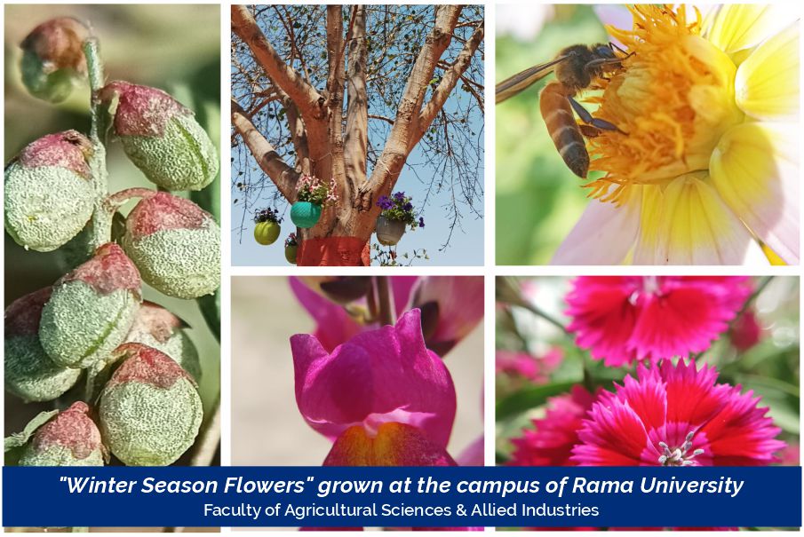 winter-season-flowers-2023