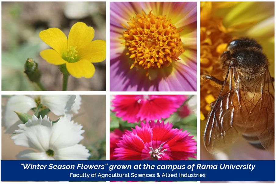 winter-season-flowers-2023