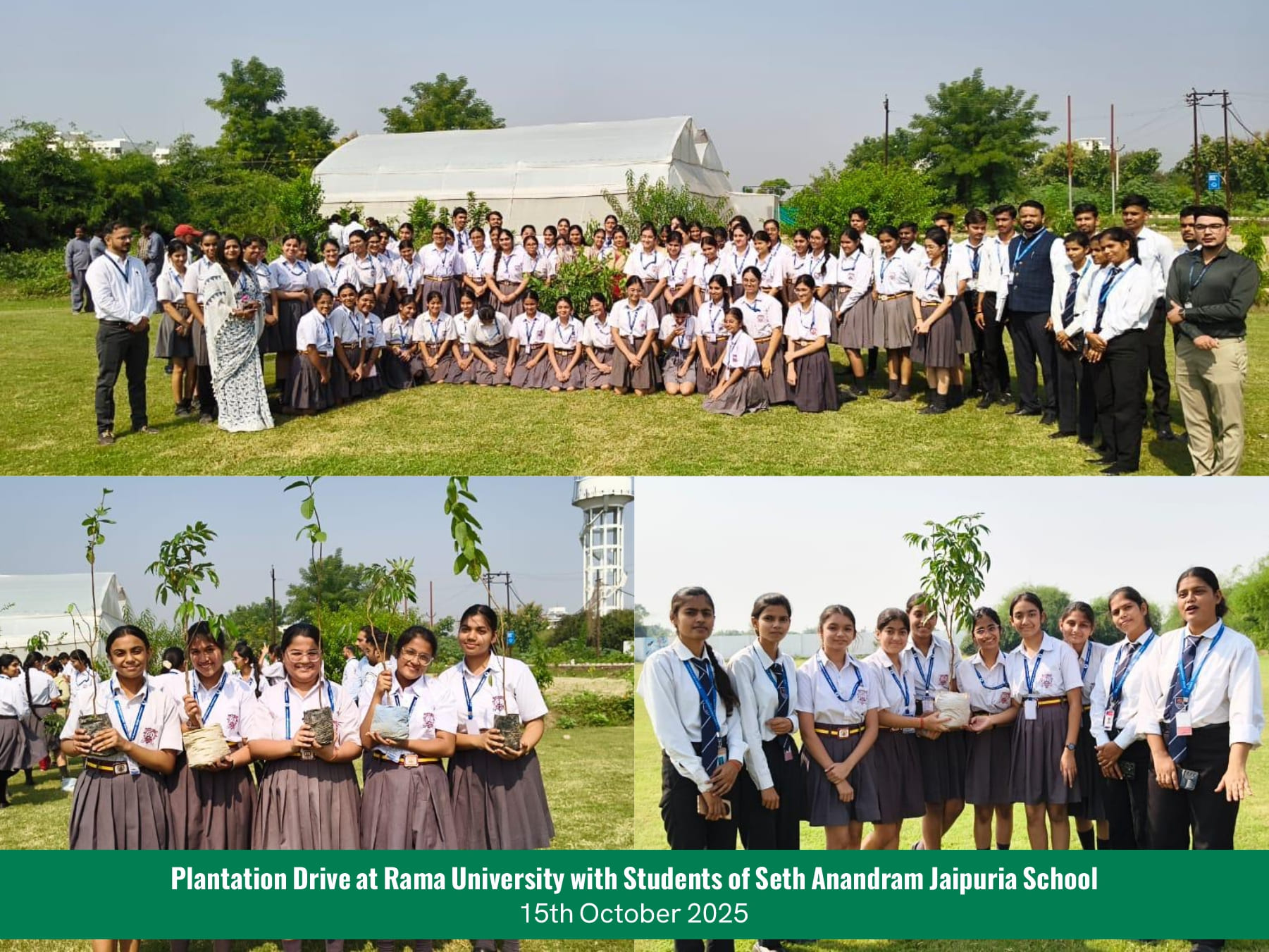 a-plantation-drive-in-ru-students-of-seth-anandram-jaipuria-school-2k25