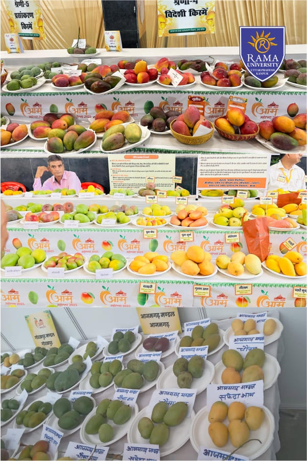 an-exposure-visit-in-mango-festival-2k25-at-awadh-by-fasai