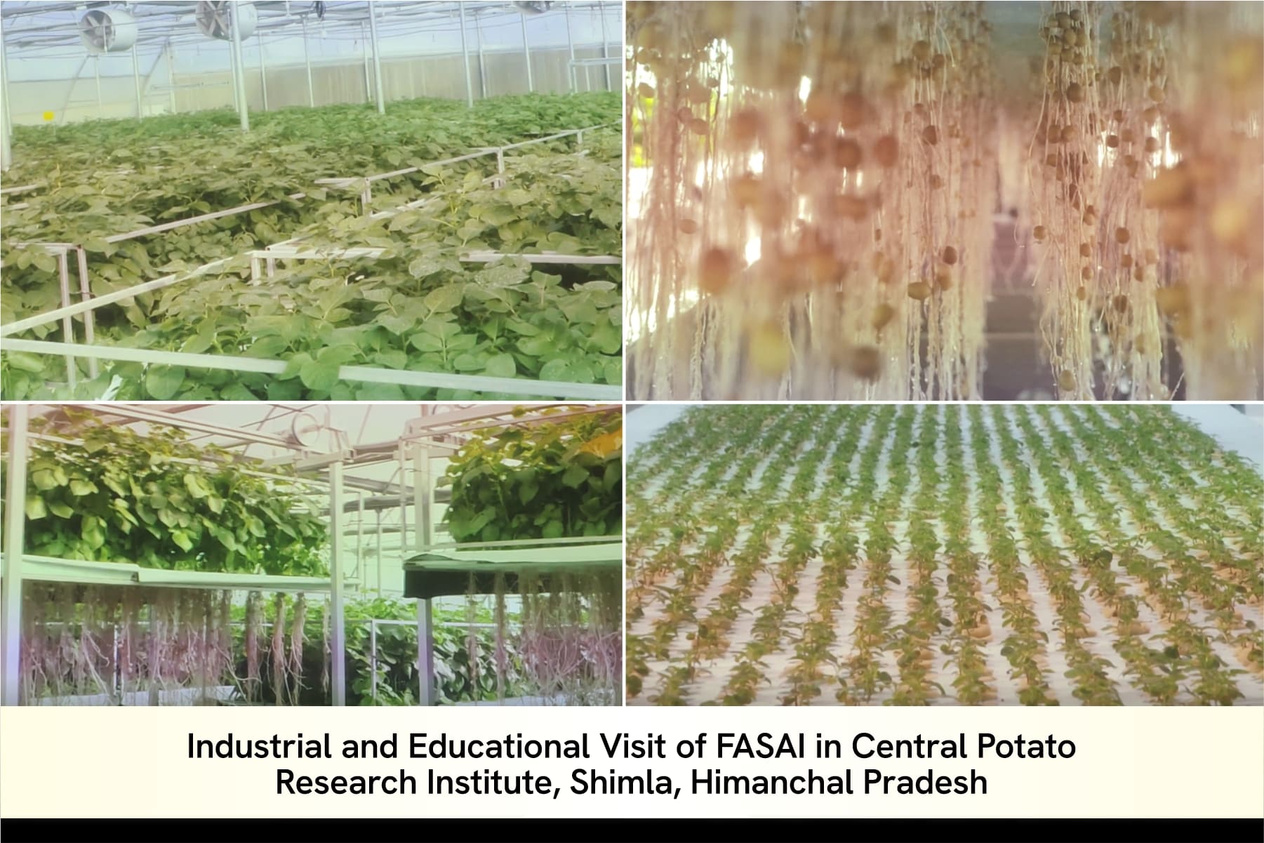 industrial-and-educational-visit-of-fasai-to-icar–central-potato-research-institute-shimla