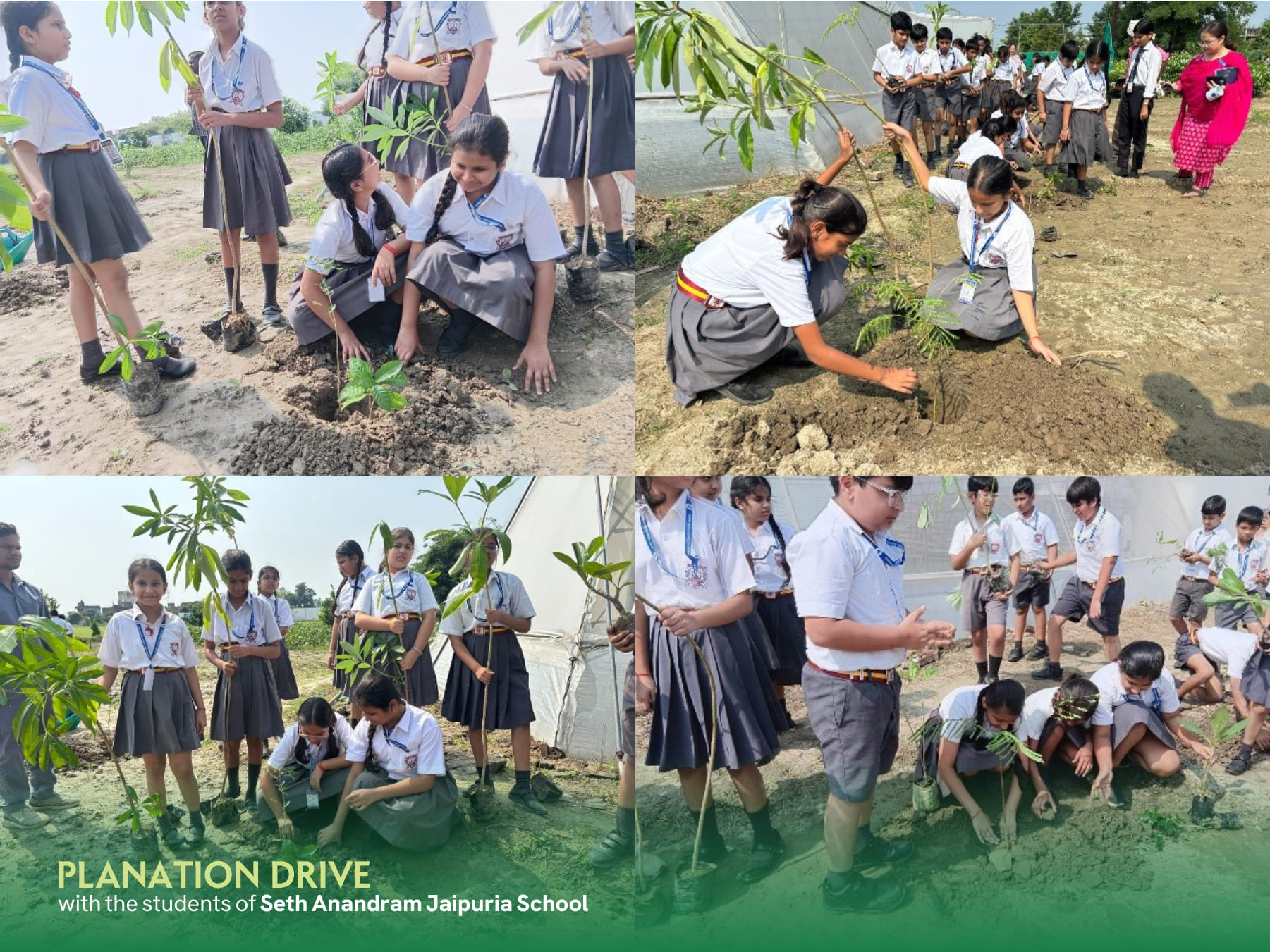 mega-plantation-drive-with-seth-anandram-jaipuria-school-at-ru