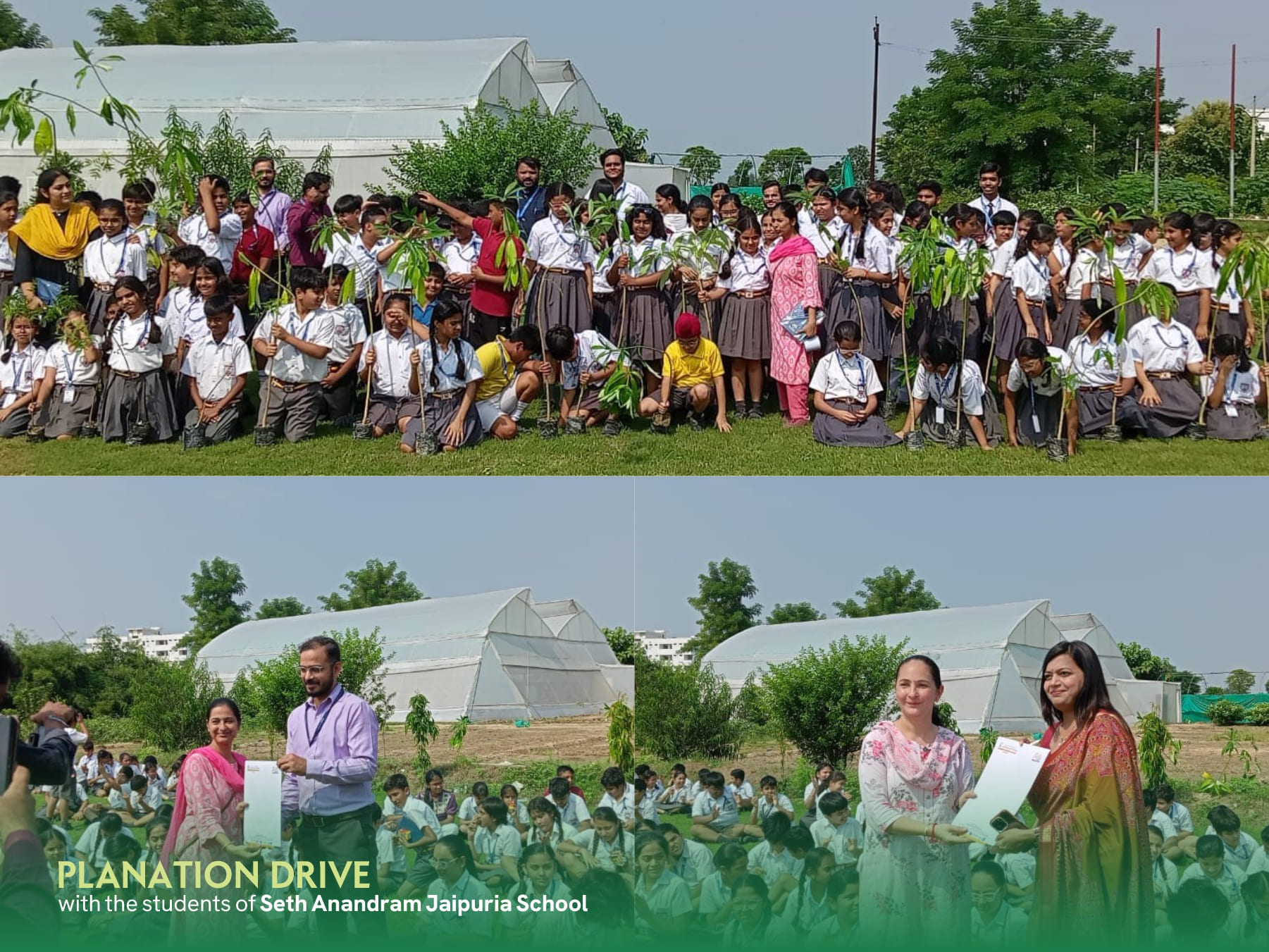 mega-plantation-drive-with-seth-anandram-jaipuria-school-at-ru