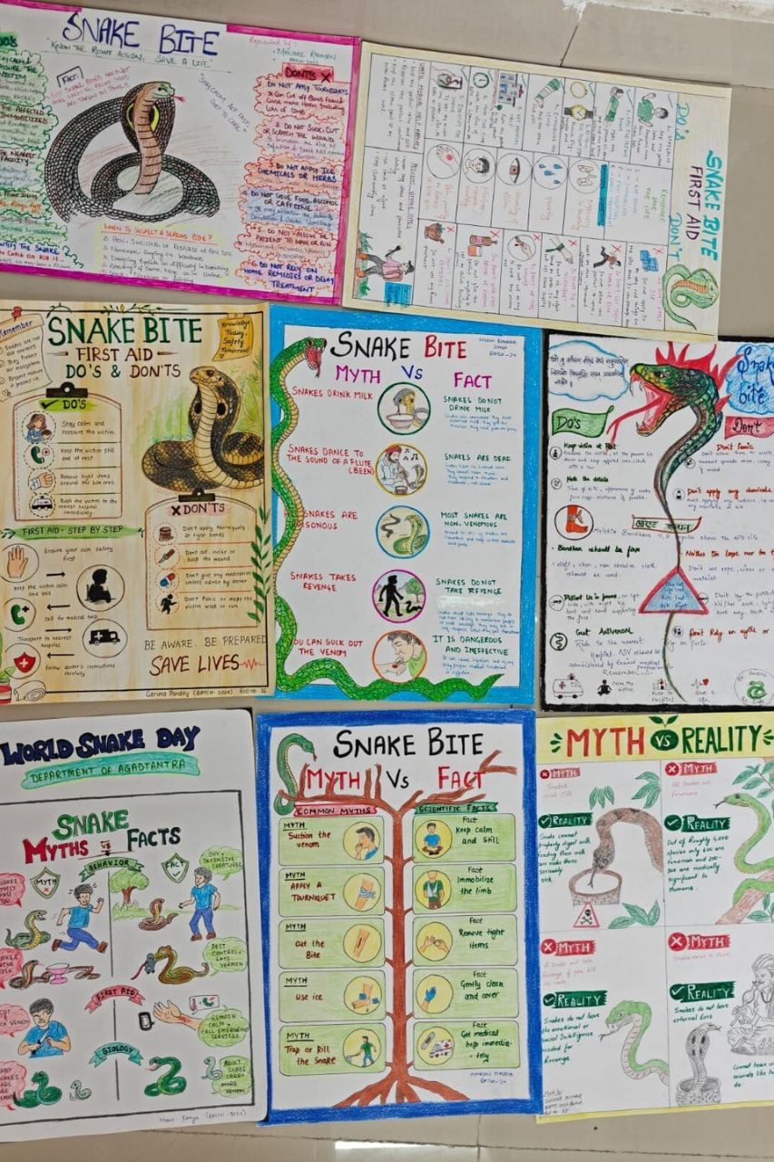 presentation-competition-on-world-snake-day-2k26
