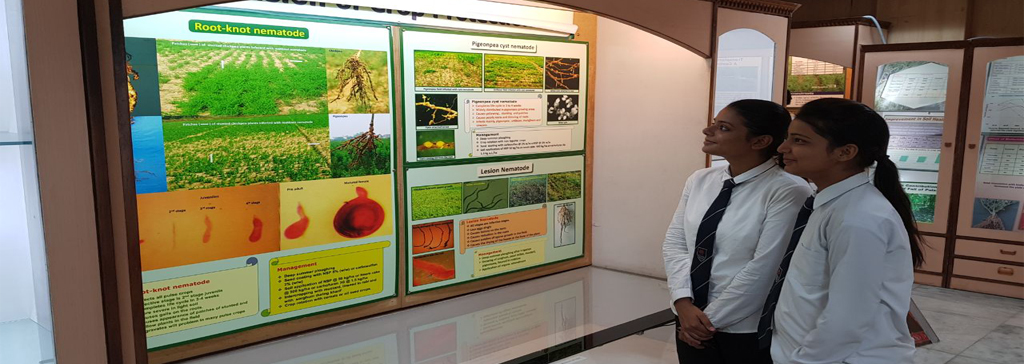 Industrial Visit To Indian Institute Of Pulses Research (IIPR), Kanpur