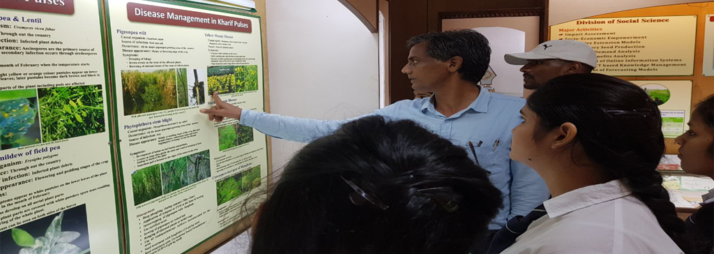 Industrial Visit To Indian Institute Of Pulses Research (IIPR), Kanpur