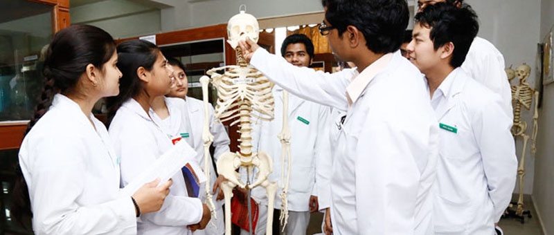 anaesthesiology