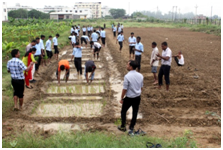 Green Audit Report 2017-2018 - 7