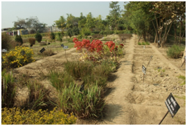 Green Audit Report 2017-2018 - 8