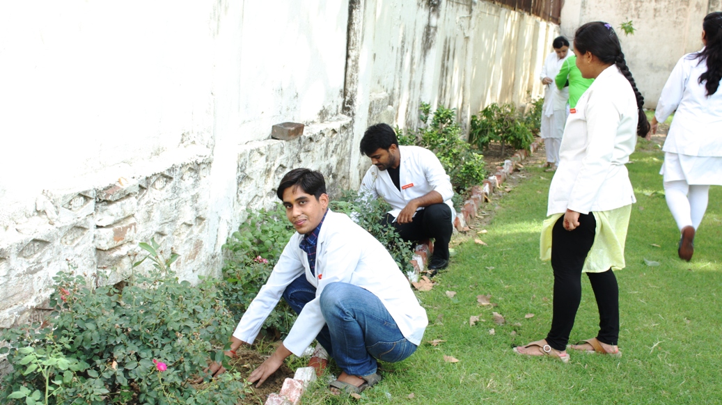 World_Environmental_Day_2019