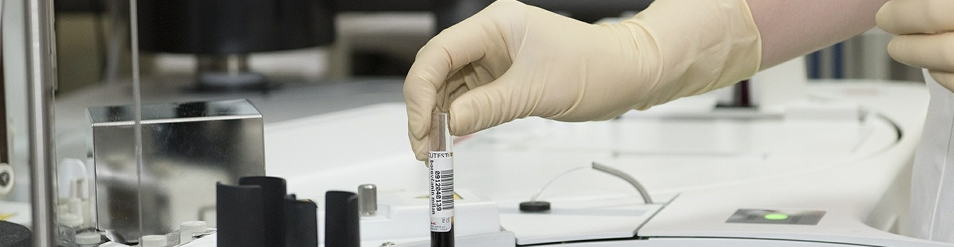 Doctoral Program
